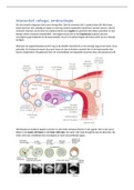 Gezonde en zieke cellen 1 (2020/2021): interactief college embryologie