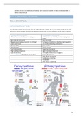 Samenvatting Regulatie en Afweer 1 (40410RA10Y): Zenuwstelsel en darmen