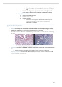 Samenvatting Regulatie en Afweer 1 (40410RA10Y): Histologie: stapeling.