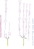Oxidation and Reduction flow chart of alcohols