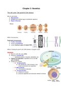IB biology SL - Unit 3: Genetics (straight 7)
