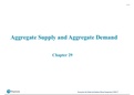 Economics: Macroeconomics- Chapter 29 Aggregate Supply and Aggregate Demand