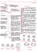 A-Level Biology Cell Cycle and Cell division