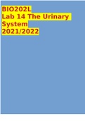 BIO202L Lab 14 The Urinary System 2021/2022