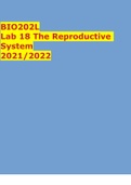 BIO202L Lab 18 The Reproductive System 2021/2022