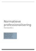 Normatieve professionalisering PL4
