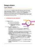 Fiche cycle cellulaire
