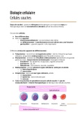 Fiche cellules souches