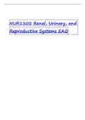 Exam &lpar;elaborations&rpar; NUR1102 Renal&comma; Urinary&comma; and Reproductive Systems E AQ2022