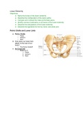 Class notes Anatomy & Physiology &lpar;KAAP309&rpar; 