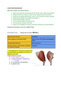 Class notes Anatomy & Physiology (KAAP309) 