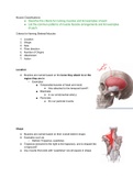 Class notes Anatomy & Physiology &lpar;KAAP309&rpar; 