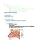 Class notes Anatomy & Physiology &lpar;KAAP309&rpar; 