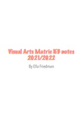 Visual Arts Matric 2021/2022 IEB notes