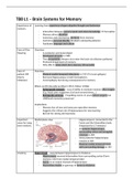 Brain And Behaviour 2 TB8 - All Lectures