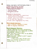 WST 100 notes