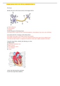 Portage Learning &sol; A&P 2 102 &sol; AP2 ALL ANSWERS EXAM 1-6 UPDATED