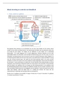 Samenvatting Menselijke Fysiologie Hoofdstuk 3 Bloedstroming en controle bloeddruk