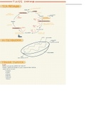 Cell Metabolism Notes
