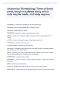 Anatomical Terminology&semi; Terms of body parts&comma; imaginary planes along which cuts may be made&comma; and body regions