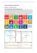 Global Sustainable Leadership Summary