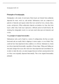 Latest Preview Thumbnail