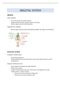 summary skeletal system