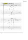 class 11 biology chapter 1 notes &lpar; definition of tissue with example &rpar;