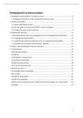 samenvatting pedagogische professionaliteit