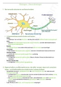 Zusammenfassung fürs Abi: Neurobiologie