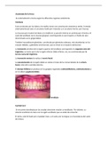 Anatomía de la boca y patología faringeoamigdalica