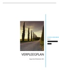 Verpleegplan module 2&period;1
