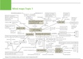 A level Biology Mind Maps
