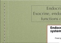   Endocrine System - Part I Exocrine&comma; endocrine and mixed glands&semi; functions of endocrine system&period;