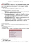 Th&eacute;orie Du Management - Section 3 "La Dynamique Du Groupe" - S1L1