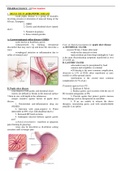 Gastrointestinal Drugs - (Goodman Pharmacology)