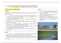 OCR A Level Geography Coastal Landscapes Summary - 1c (Coastal sediment is supplied from a variety of sources)