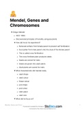 Genetics Mendel genes and chromosomes summary