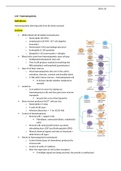 Lecture notes Cells and Immunity Haematopoiesis (BI2BC45) 