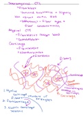 Anatomy and Physiology 1 Lecture Notes