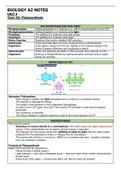 Edexcel Biology Unit 4 - Photosynthesis Notes