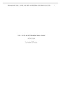 TESLA, AUDI, and BMW Marketing Strategy Analysis