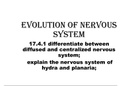 EVOLUTION OF NERVOUS SYSTEM-MCAT-PRESENTATION