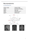 Samenvatting Neuropsychologie (V5G116)