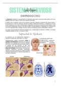 Apuntes de anatomía y patología del sistema nervioso.