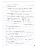 Stereoisomers--Ch 5