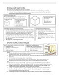 Biology paper 1 cells - exchange surfaces and substances