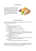 Procesamiento en la Actividad Cacaotera (cacao) y Subproductos