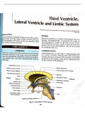  Detailed anatomy of third ventricle and limbic system of brain with images