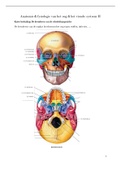 Samenvatting van Anatomie En Fysiologie Van Het Oog II